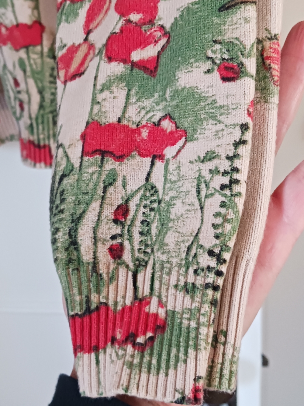 Whimsical Thick Floral Animal Print Sweater in Cream and Red - Picture 7 of 9